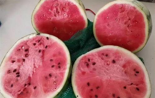 一岁宝宝可以吃麒麟瓜吗,一岁宝宝能否尝试麒麟瓜？营养与适宜性分析