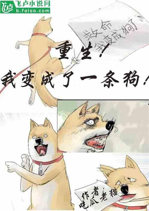 小说吃瓜发疯,一场小说中的狂欢盛宴