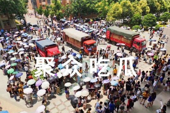 吃瓜云南高校,探寻云南高校的“吃瓜”文化现象