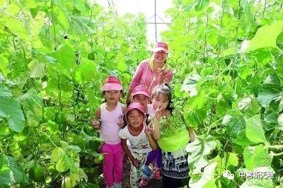 吃瓜群众干饭王,揭秘网络红人的美食之旅