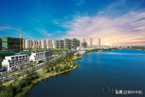 香榭湖泰兴吃瓜,夏日吃瓜盛宴，畅享清凉时光