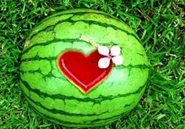 梦见吃瓜是什么,吃瓜背后的寓意与启示