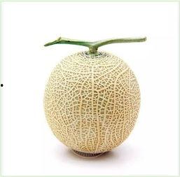 吃瓜群众头套,网络迷因背后的文化现象