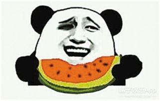 沛彤彤(吃瓜群众),揭秘吃瓜群众的独特视角