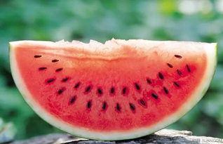 殿上吃瓜,揭秘殿上吃瓜背后的宫廷秘闻