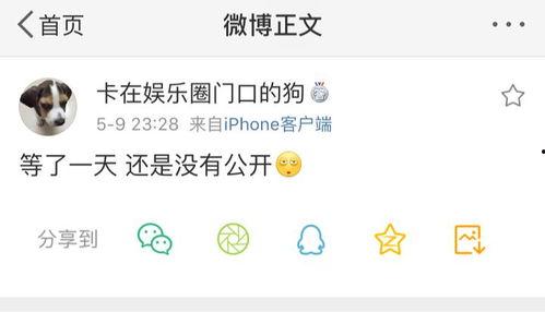 吃瓜爆料企鹅号,吃瓜爆料企鹅号带你直击明星幕后故事