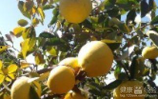 盘点三大吃瓜,揭秘娱乐圈幕后真相