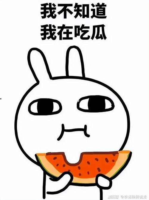 杭州律师吃瓜事件,杭州律师意外卷入网络热议