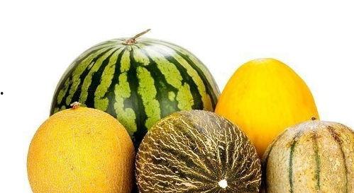 吃瓜付总,揭秘娱乐圈背后的故事与真相