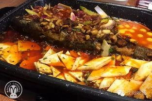 吃瓜鱼多多,揭秘网络红人的幕后故事