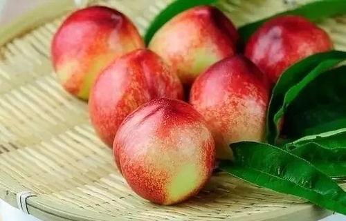 小桃子吃瓜事件,揭秘网络舆论的狂欢与反思