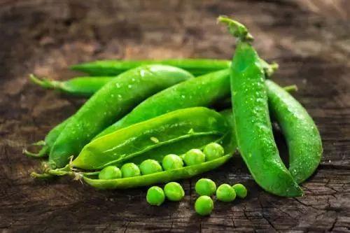 伏天吃瓜还是吃豆,吃瓜还是吃豆，清凉一夏的选择