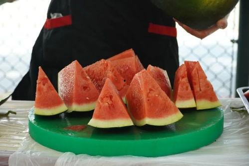 技术学院吃瓜,揭秘校园吃瓜背后的故事