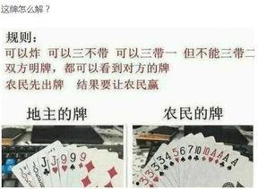 吃瓜幽默语录图片,幽默语录图鉴，带你领略吃瓜乐趣